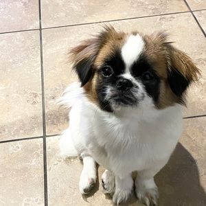 Meet your Posher, Rhoda